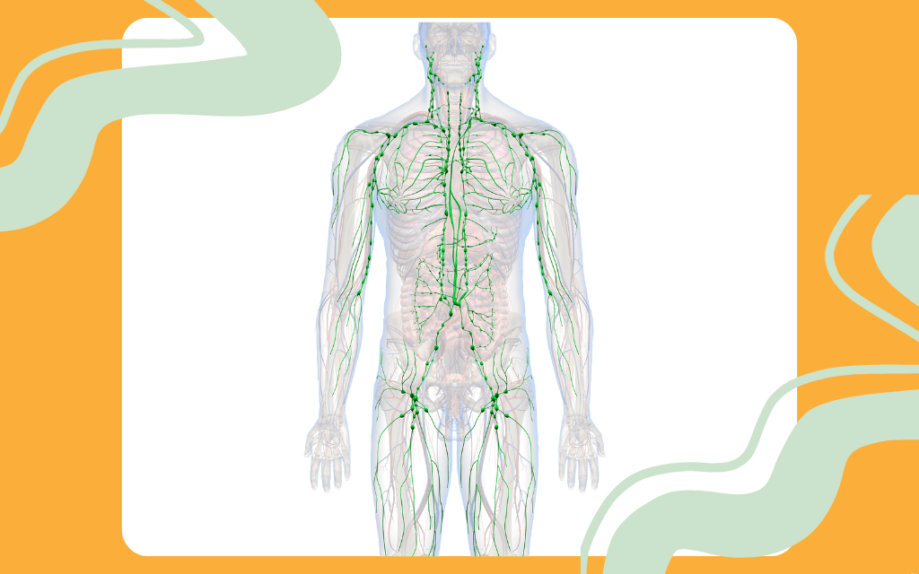 Lymphatic Massages and SelfCare San Jose Public Library